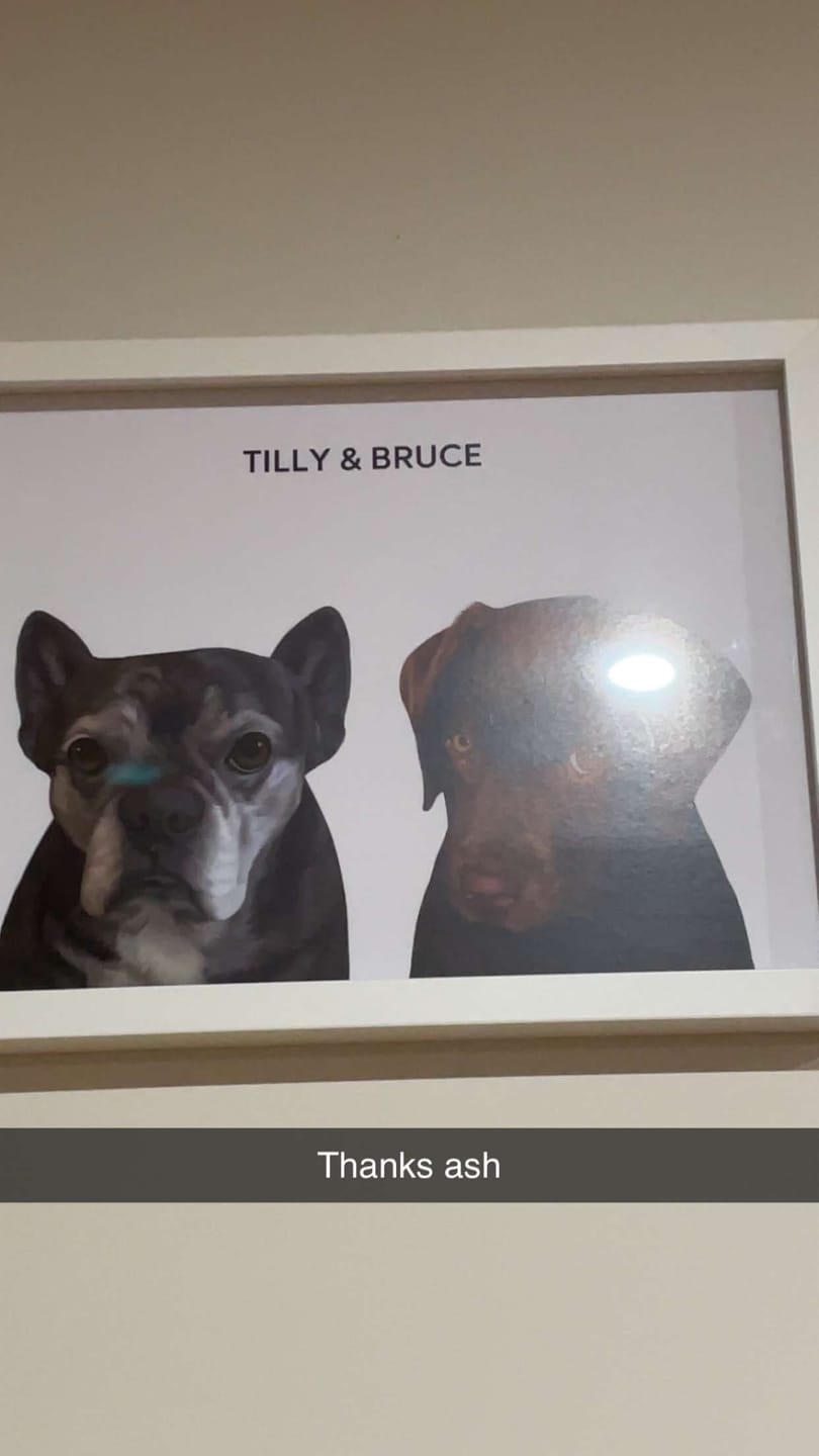 Customer photo review of 2 Pets
