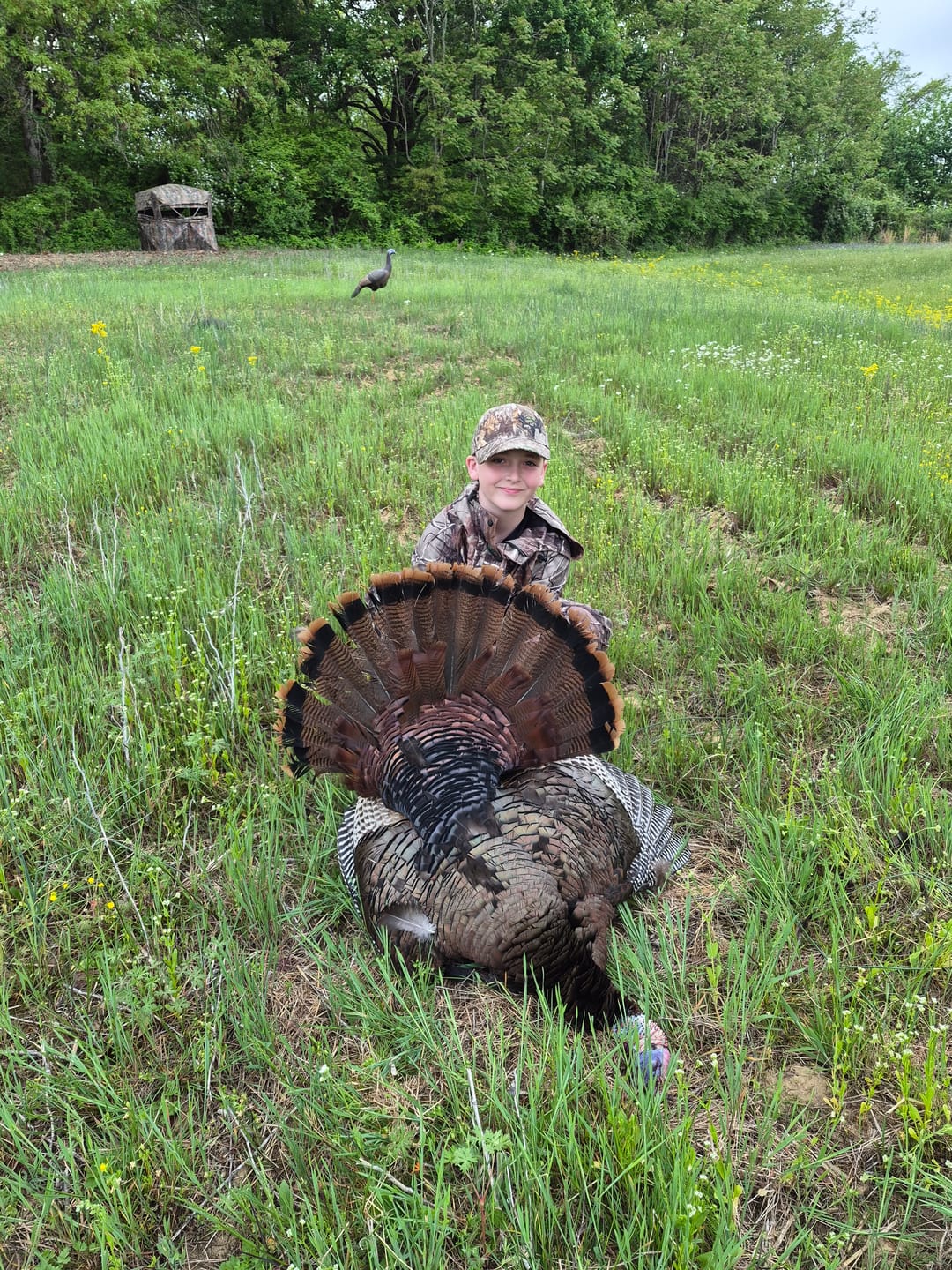 Customer photo review of VisX/VisMax See Through Hunting Blind, Pop Up Ground Deer Blind