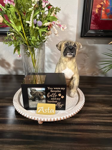Custom Petslify plush reviewed by Natalie C., handmade replica of their dog