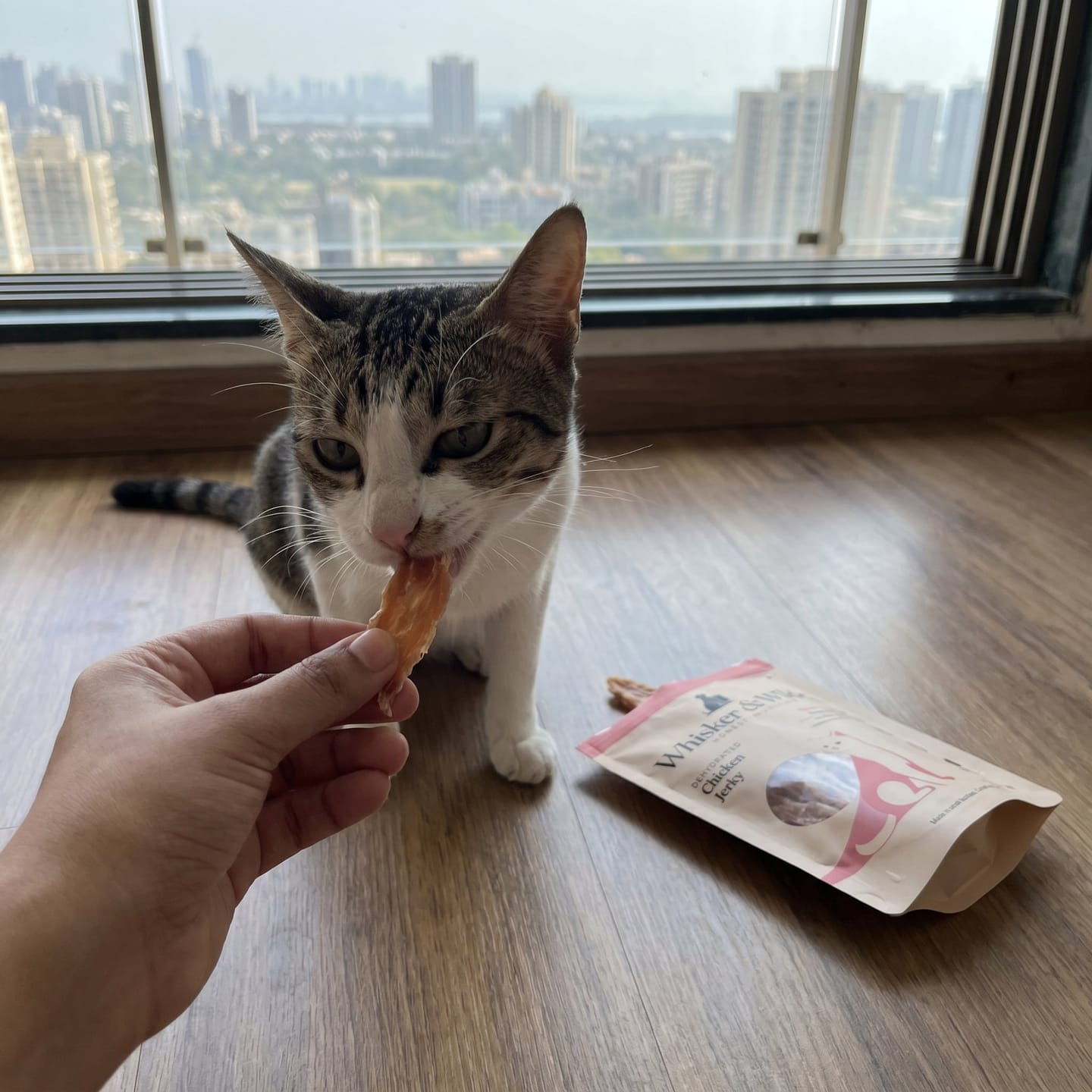 Customer photo review of Dehydrated Chicken Jerky — Original (Cat) Muscle Support | Natural Flavour