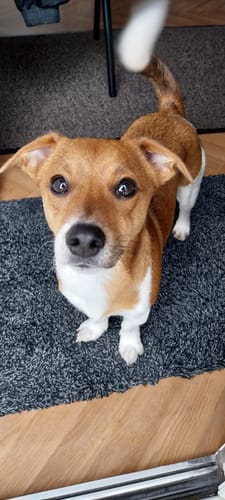 Customer photo review of Graffiti -  Personalised Poster