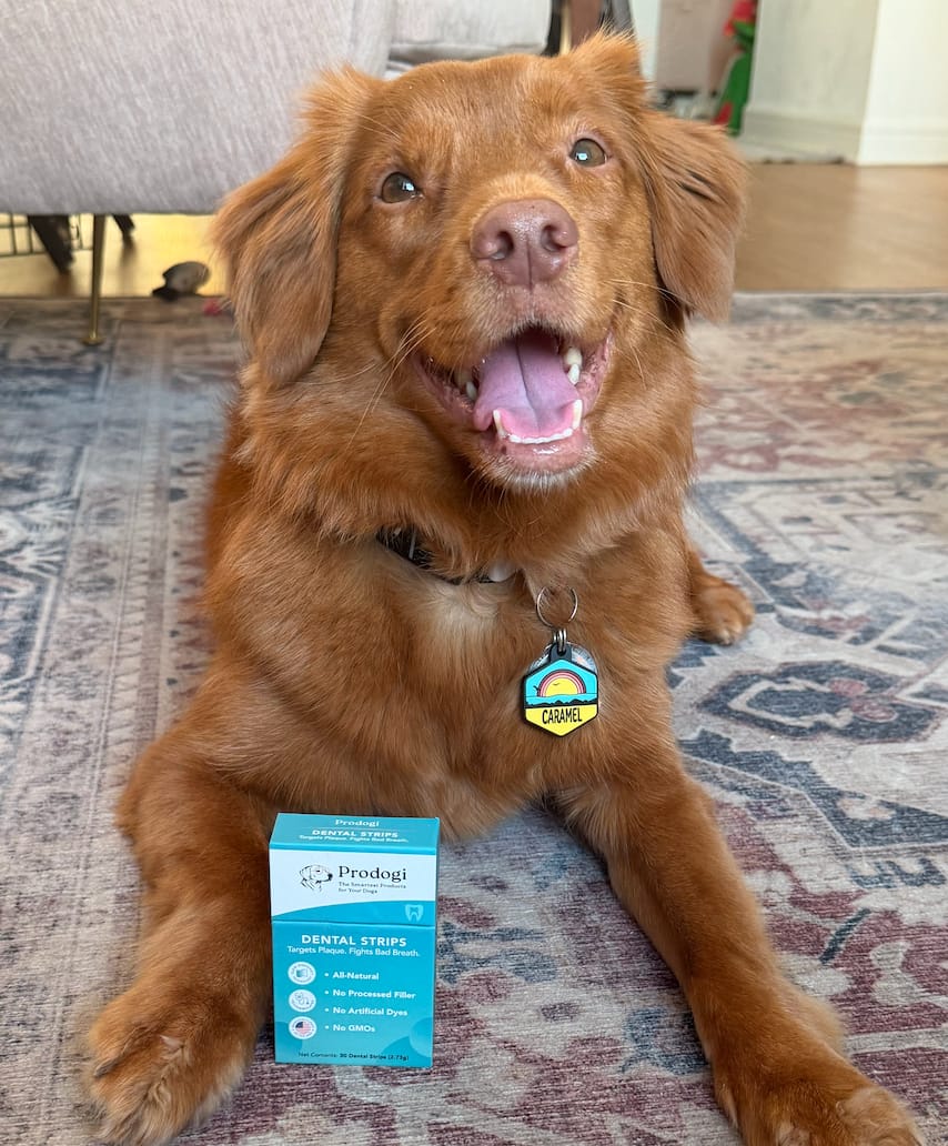 Customer photo review of DENTAL STRIPS