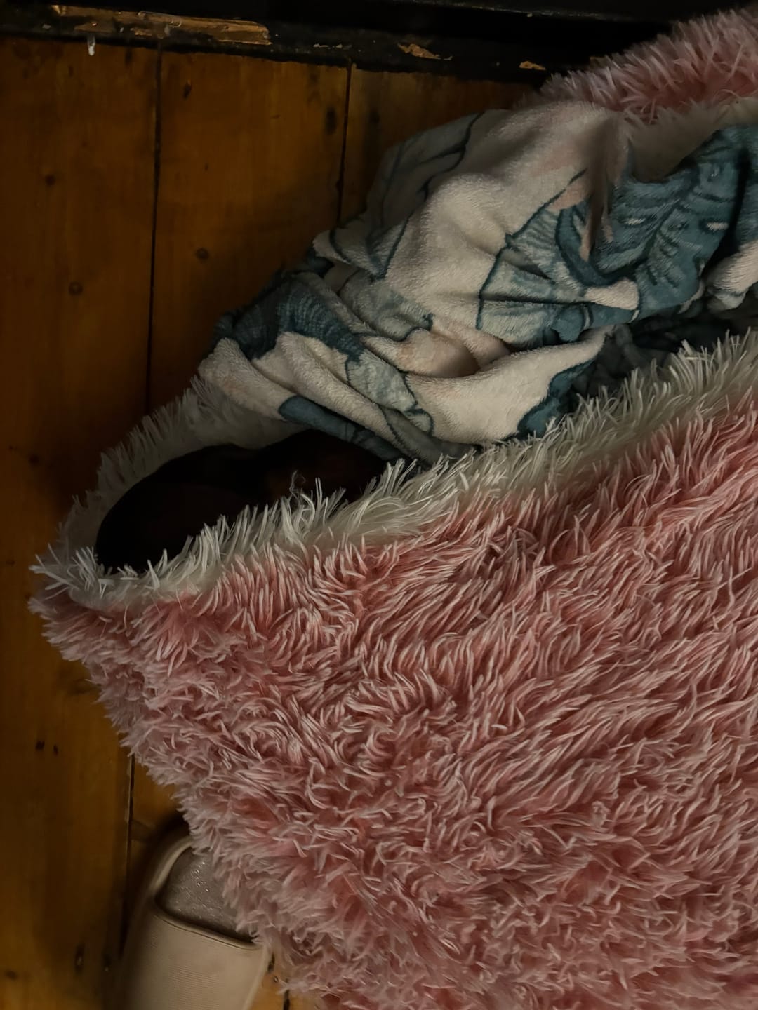 Customer photo review of Burrow Buddy™ - Pet Bed