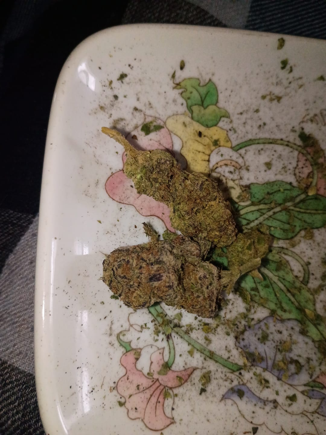 Customer photo review of Bolo Runtz - 4 Grams - Hybrid