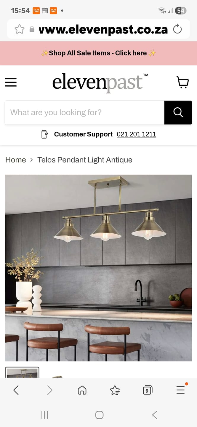 Customer photo review of Telos Pendant Light Antique