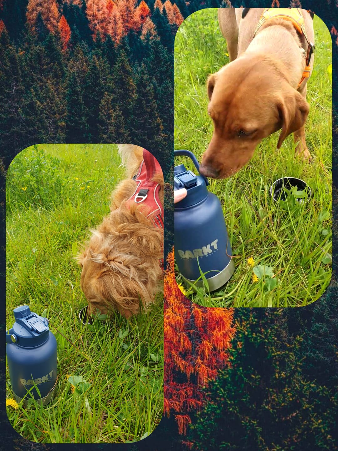 Customer photo review of 3-in-1 – Barkt Bottle & Bag