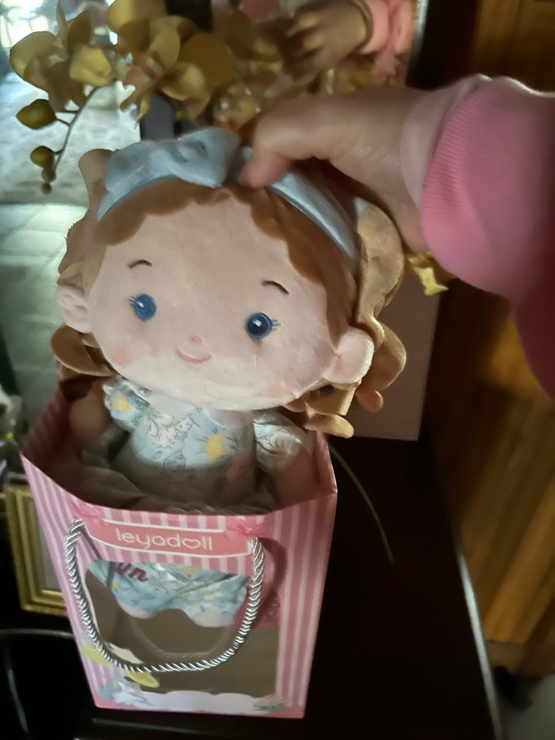 Customer photo review of Personalized Lily Girl & Her Pet