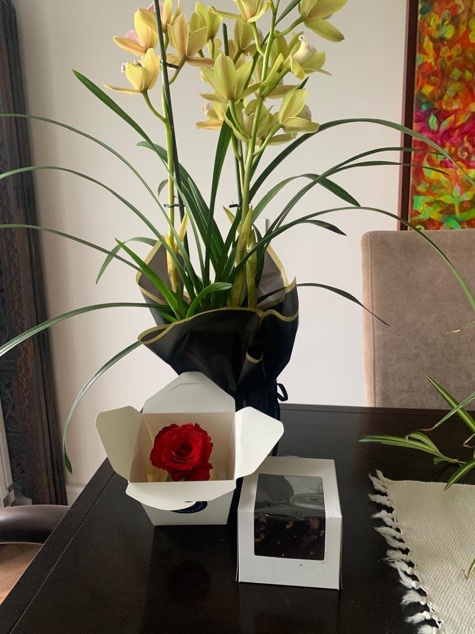 Customer photo review of "Lime Sorbet" Cymbidium 70cm 2-Spike