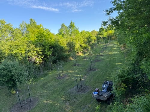 Customer photo review of Pecan