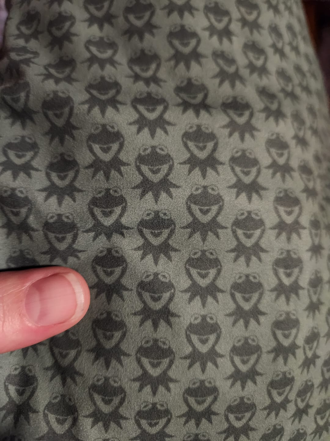 Customer photo review of Disney's The Muppets "Goin' Green" – Performance Hoodie