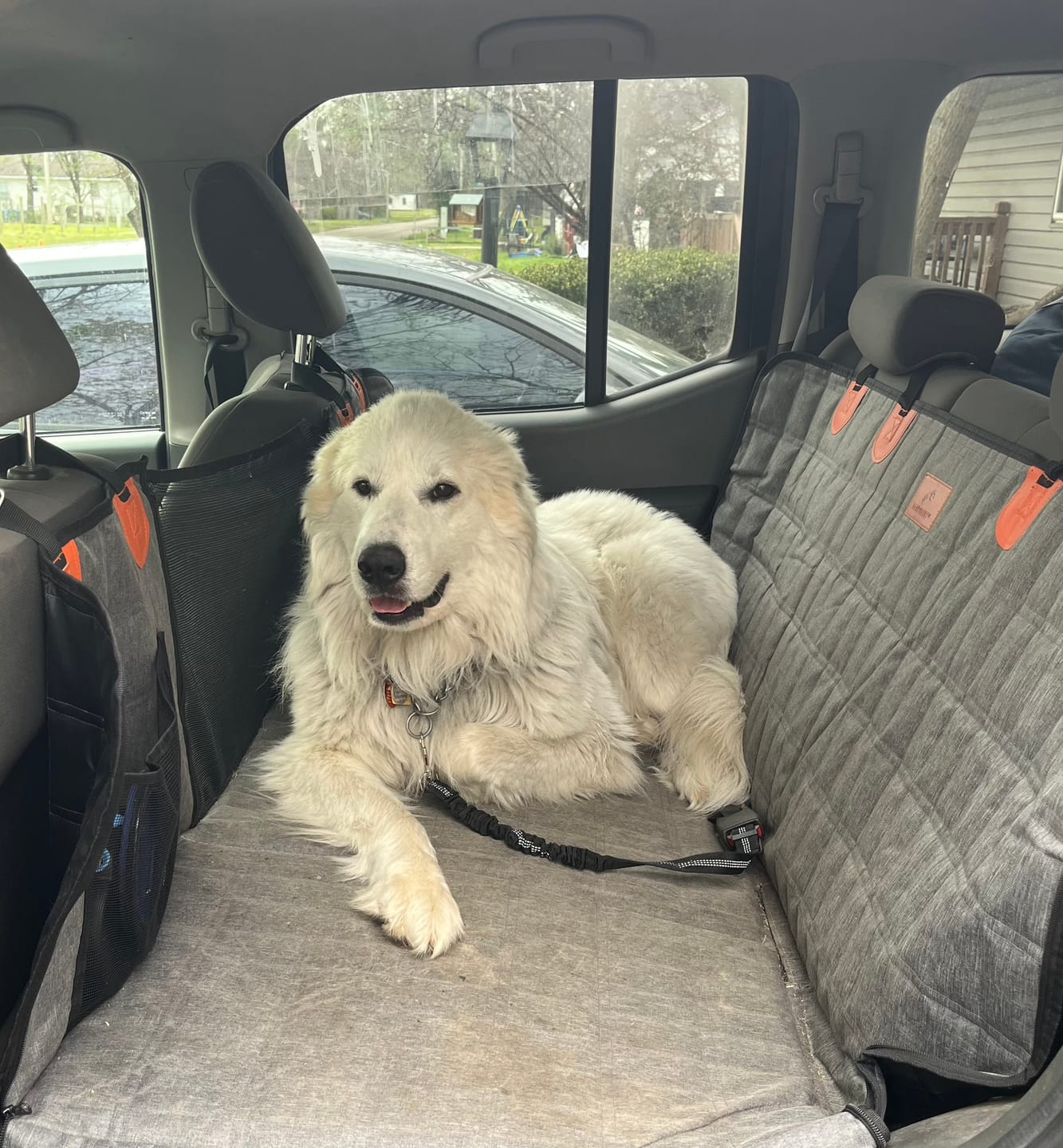Customer photo review of CozyRider™ 2.0