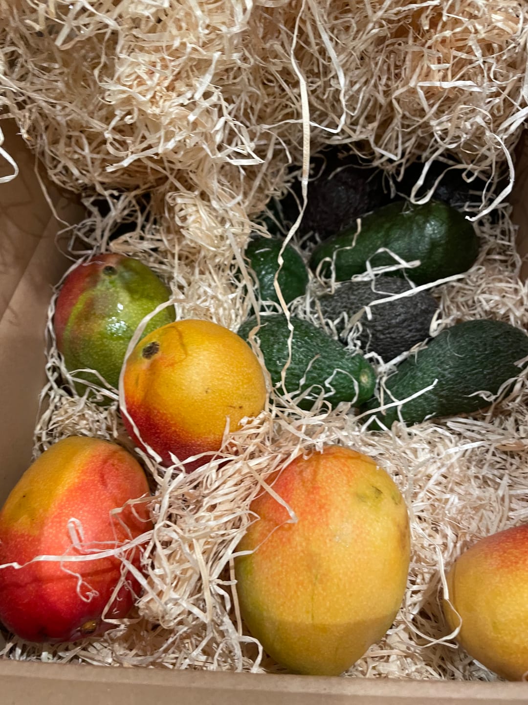 Customer photo review of Mango Haden Bio baumgereift Sonderaktion %