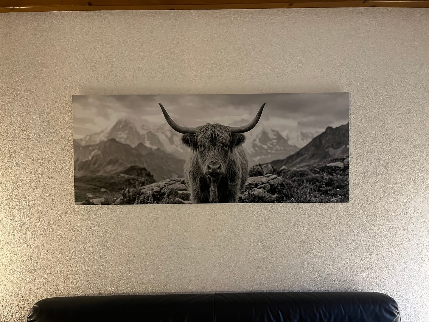 Customer photo review of Alpine Cow Majesty – Alu-Dibond wall art