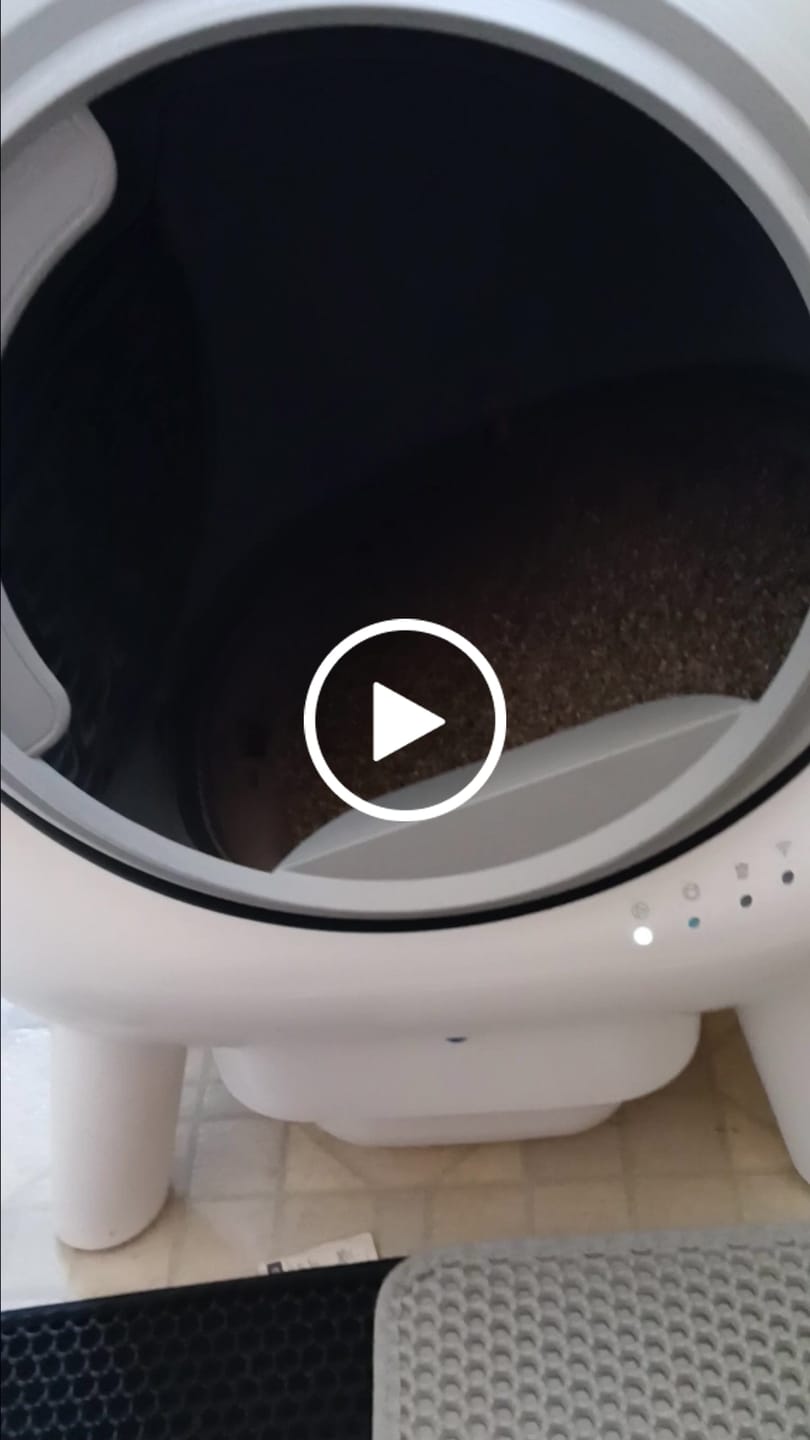 Customer video review of [Easter Sale] Orbitie with Wide Opening Self Cleaning Litter Box