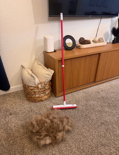 Reviewer's IndigoPet Hair Removal Broom next to a large pile of pet hair it collected from a carpet.