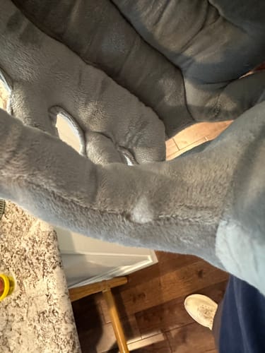Customer photo review of BoneBuddies