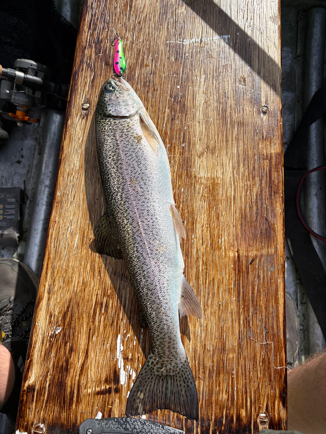 Customer photo review of Junior Optimizer™