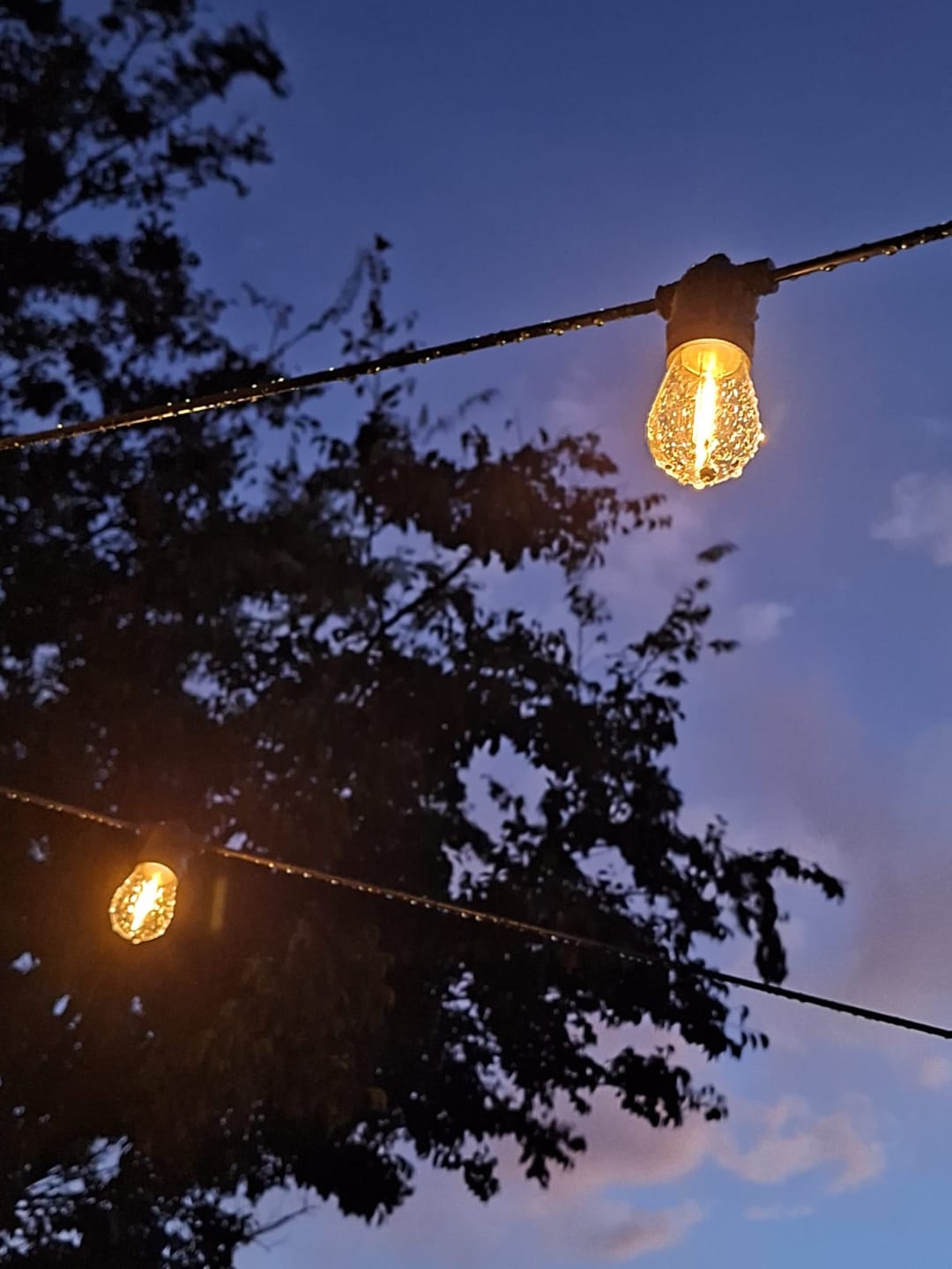 Customer photo review of Solar Festoon Bulb String Lights