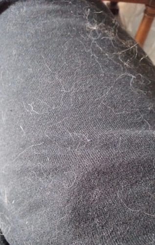 Customer's close-up of a dark shirt covered in pet hair before using the Laundry Pet Hair Removal Fish.