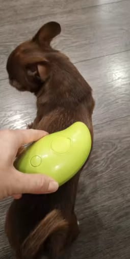 Customer photo review of Elimina el pelo de tu mascota en segundos, sin estrés ni tirones