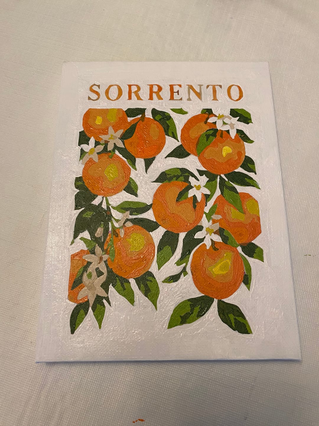 Customer photo review of 6 Mini Paintings - Italian Fruit & Drinks Set