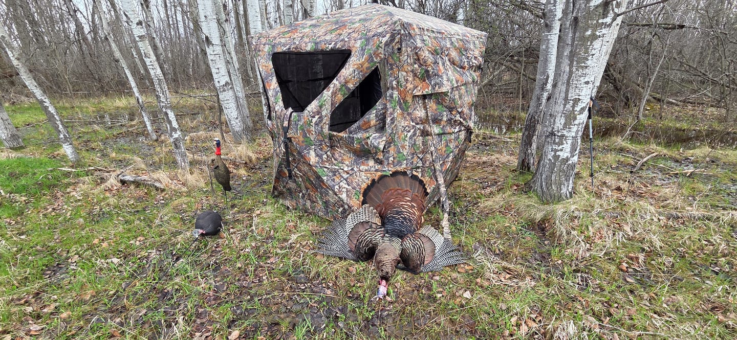 Customer photo review of VisMaster 3-4 Person See Through Hunting Blind | 270° Portable Pop Up Deer Blinds | Blaze Orange Weatherproof Ground Blind with No-Trip Door