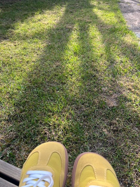 Customer photo review of Opuntia - Wide Toe Sneakers