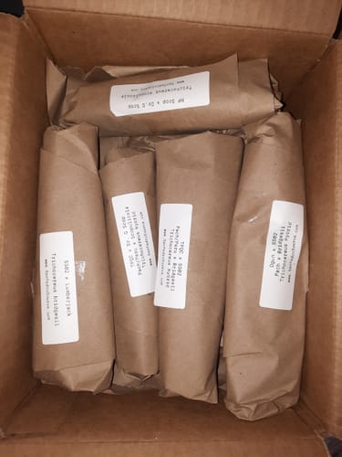 Customer photo review of Seedling Variety Packs | San Pedro Cactus Seedling Variety