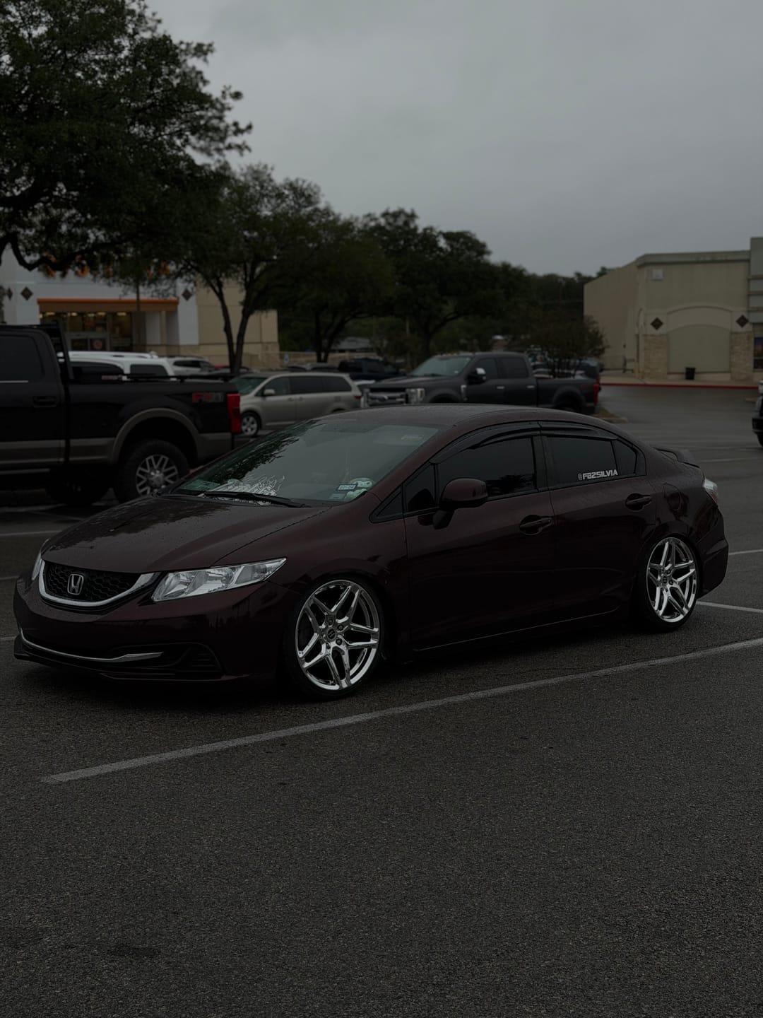 Customer photo review of Glossy Metallic Black Rose Vinyl Wrap