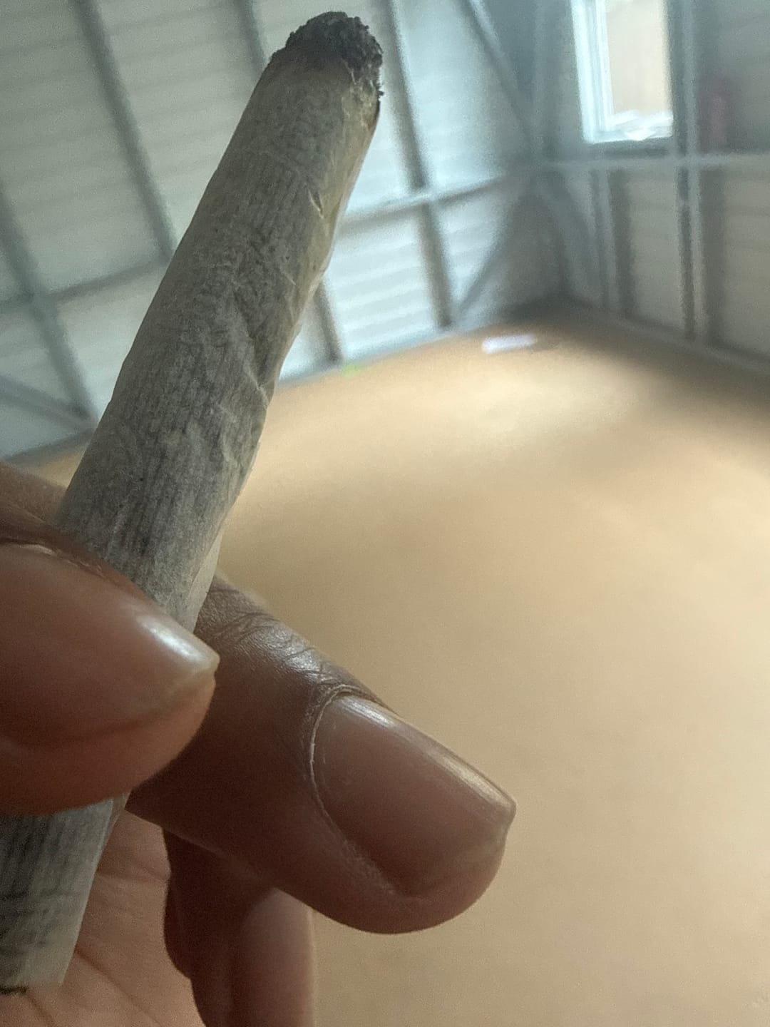 Customer photo review of Granddaddy Purple - 14 Grams - Indica
