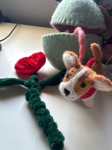 Customer photo review of Felt Surprise Egg with Corgi Puppy Inside