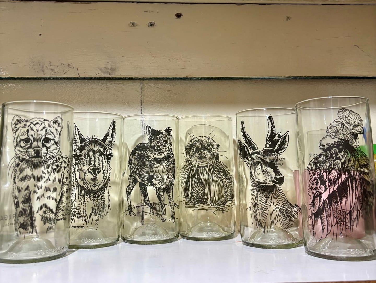 Customer photo review of Fauna Chilena - Juego de 6 vasos - 500 m
