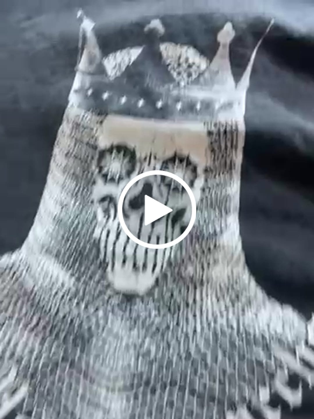 Customer video review of No More Oligarchs Oversized Tee