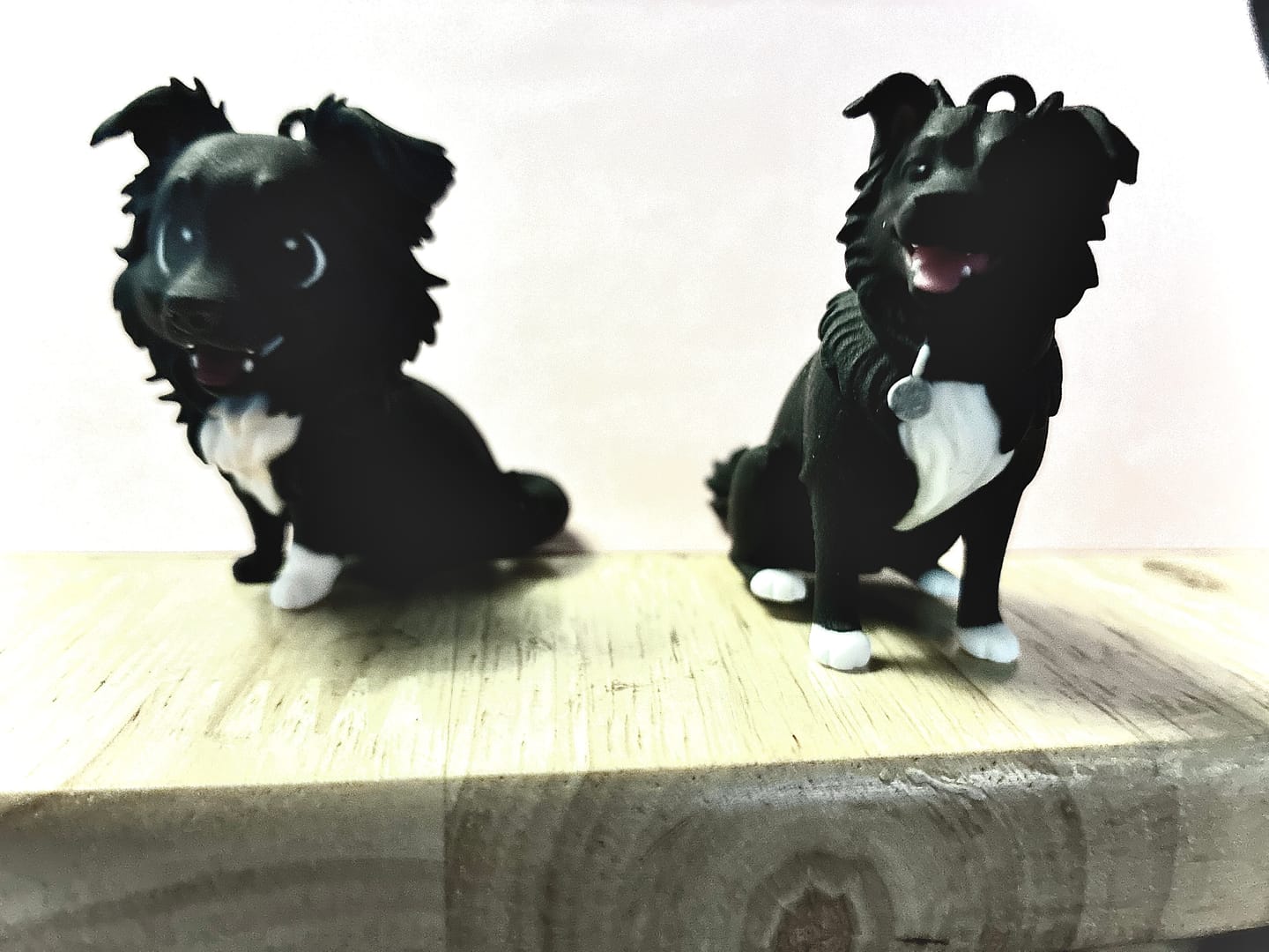 Customer photo review of Custom 3D Pet Figure Keychain & Bag Charm - Take Them Everywhere
