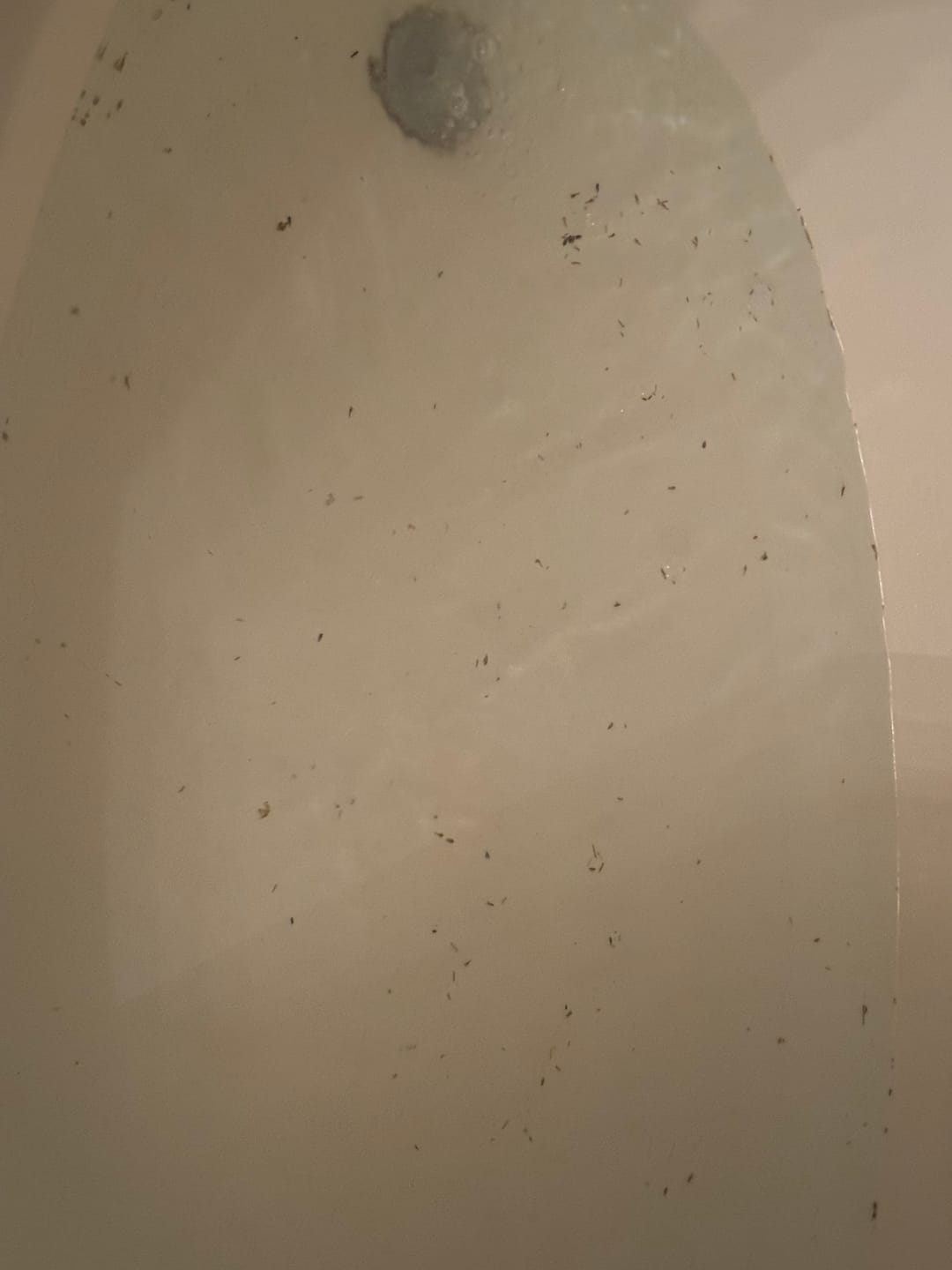 Customer photo review of Cleansing Spiritual Bath