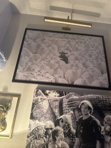 Customer's framed Black Sheep V.4 art print hanging on a wall under a picture light.
