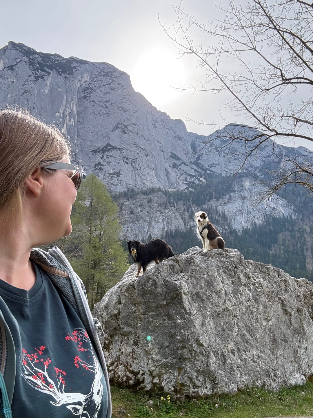 Customer photo review of Holzbrüder® Originals - Hirsch Blüten Bio Damen Shirt