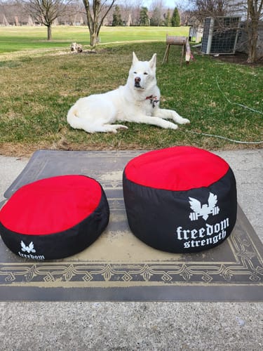 Customer photo review of Strongman Sandbag