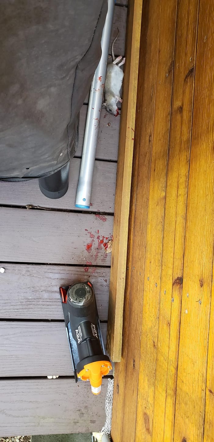 Customer photo review of A24 Trap Kit With Digital Strike Counter