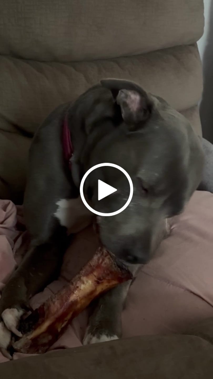Customer video review of Large Dog Black Friday Bundle II (4x 5oz Jerky Bags + 4x LARGE Smoked Marrow Bones)