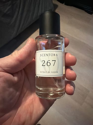 Customer photo review of 267 - inspired by symphony