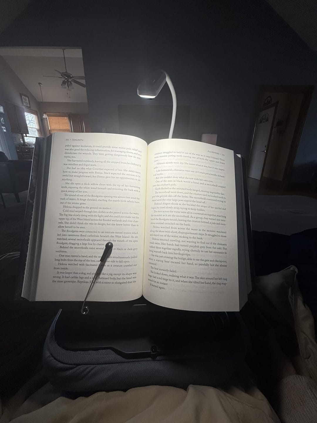 Customer photo review of Adjustable Pillow Stand with Storage