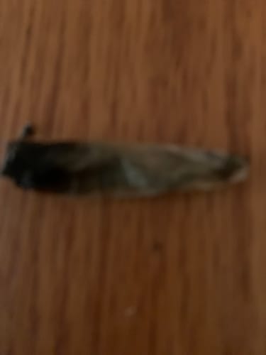 Customer photo review of Crumble