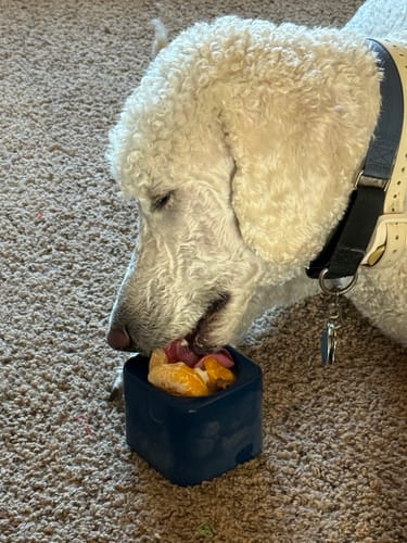 Customer photo review of Freezbox - Super Tough Treat Toy