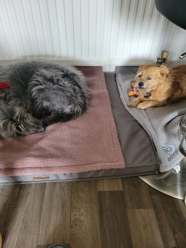 Customer photo review of Teddy Bear Sherpa Blanket (150x100cm)