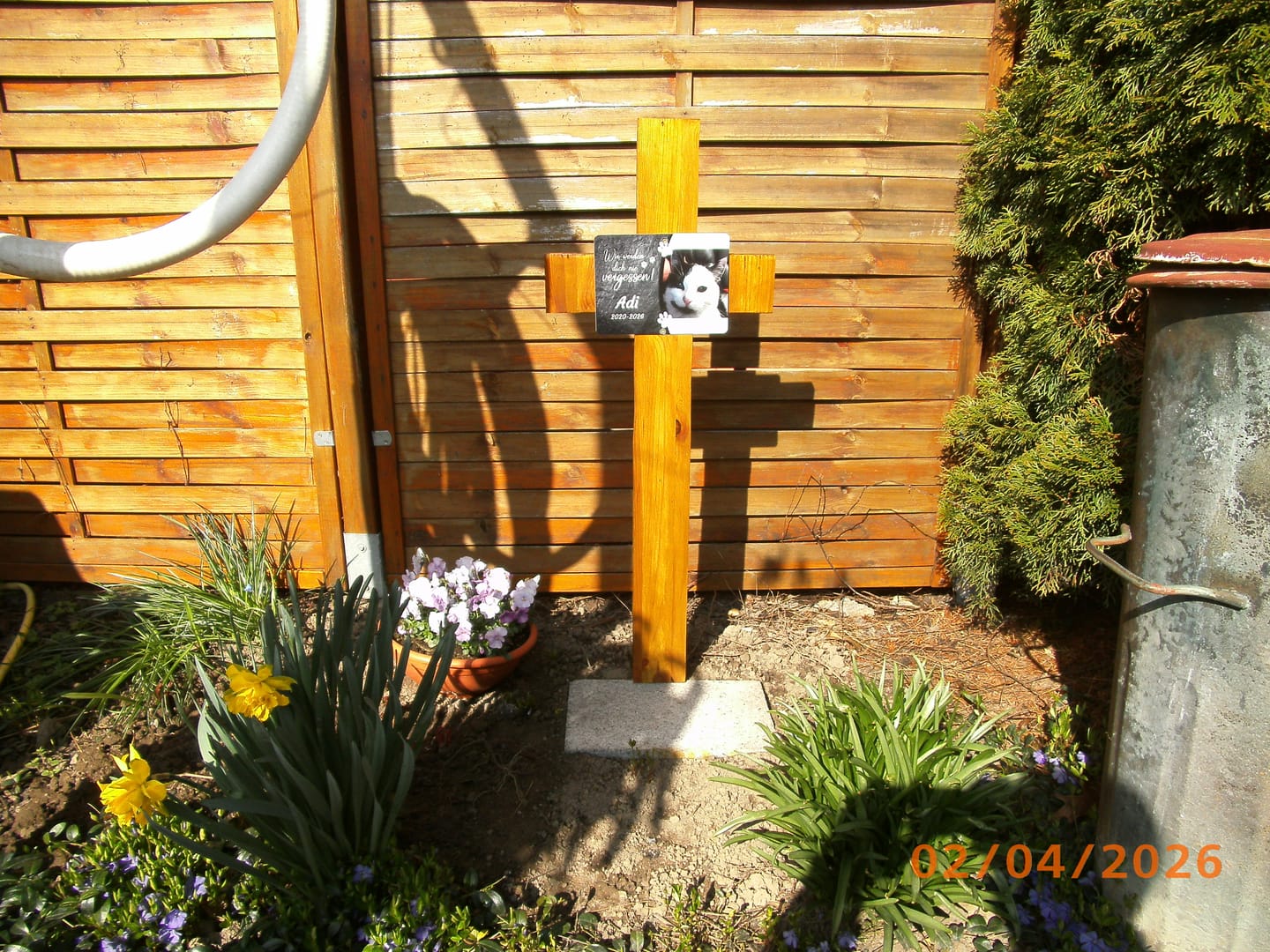 Customer photo review of Katzen Gedenktafel mit Foto & Spruch (UV- & Wetterfest)