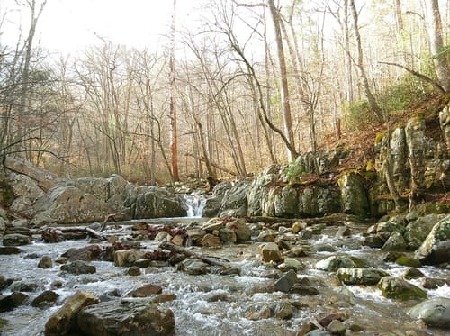 Customer photo review of KLIK™️ Screen-Free Camera