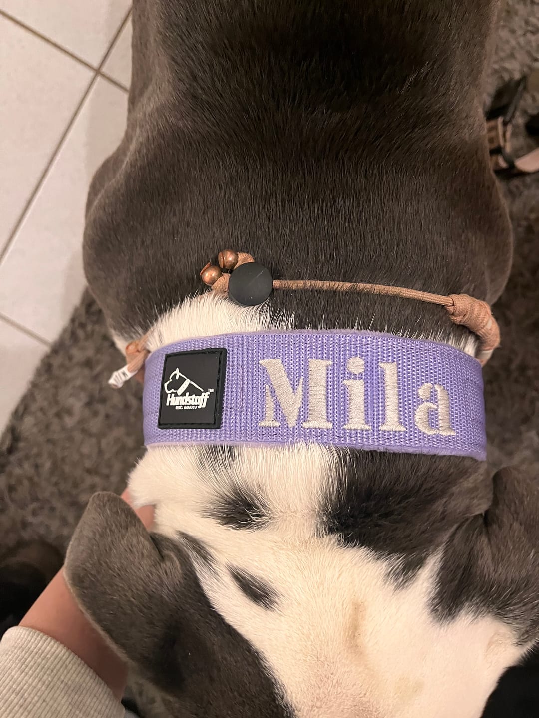 Customer photo review of Helstryp halsband med namn