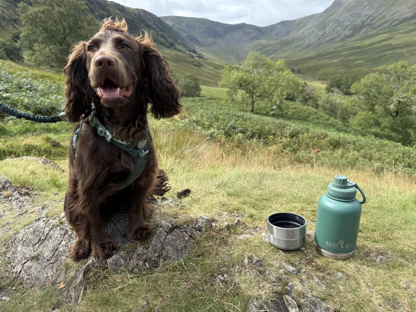 Customer photo review of 3-in-1 Portable Water Bottle