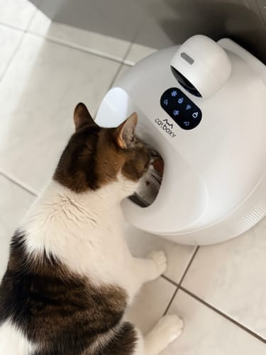Customer photo review of Furdear Europa E1 Refrigerated Wet Food Feeder